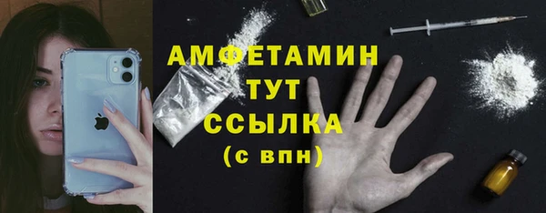 амф Алексин