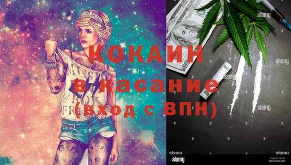крисы Алексеевка