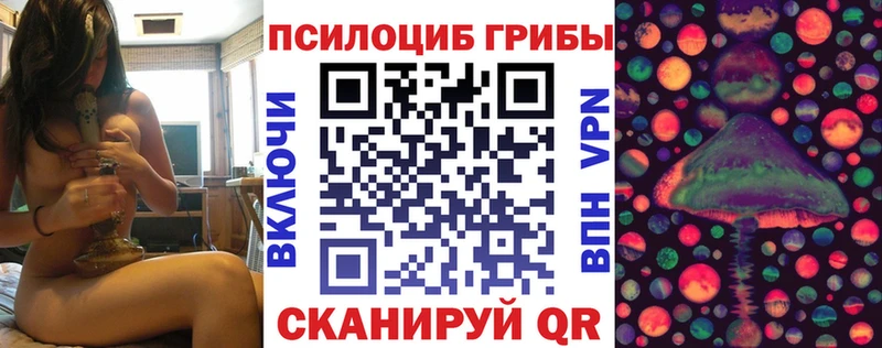 Галлюциногенные грибы Psilocybe  продажа наркотиков  Сортавала 